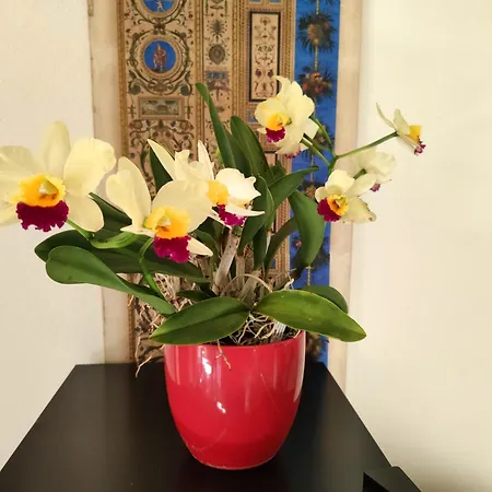 La Casa Nel Borgo